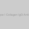 Mouse Anti-Porcine Type I Collagen IgG Antibody Assay Kit, (OPD)